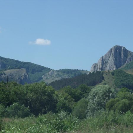 Studiouri Valisoara Luaran gambar
