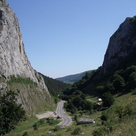 Studiouri Valisoara Luaran gambar