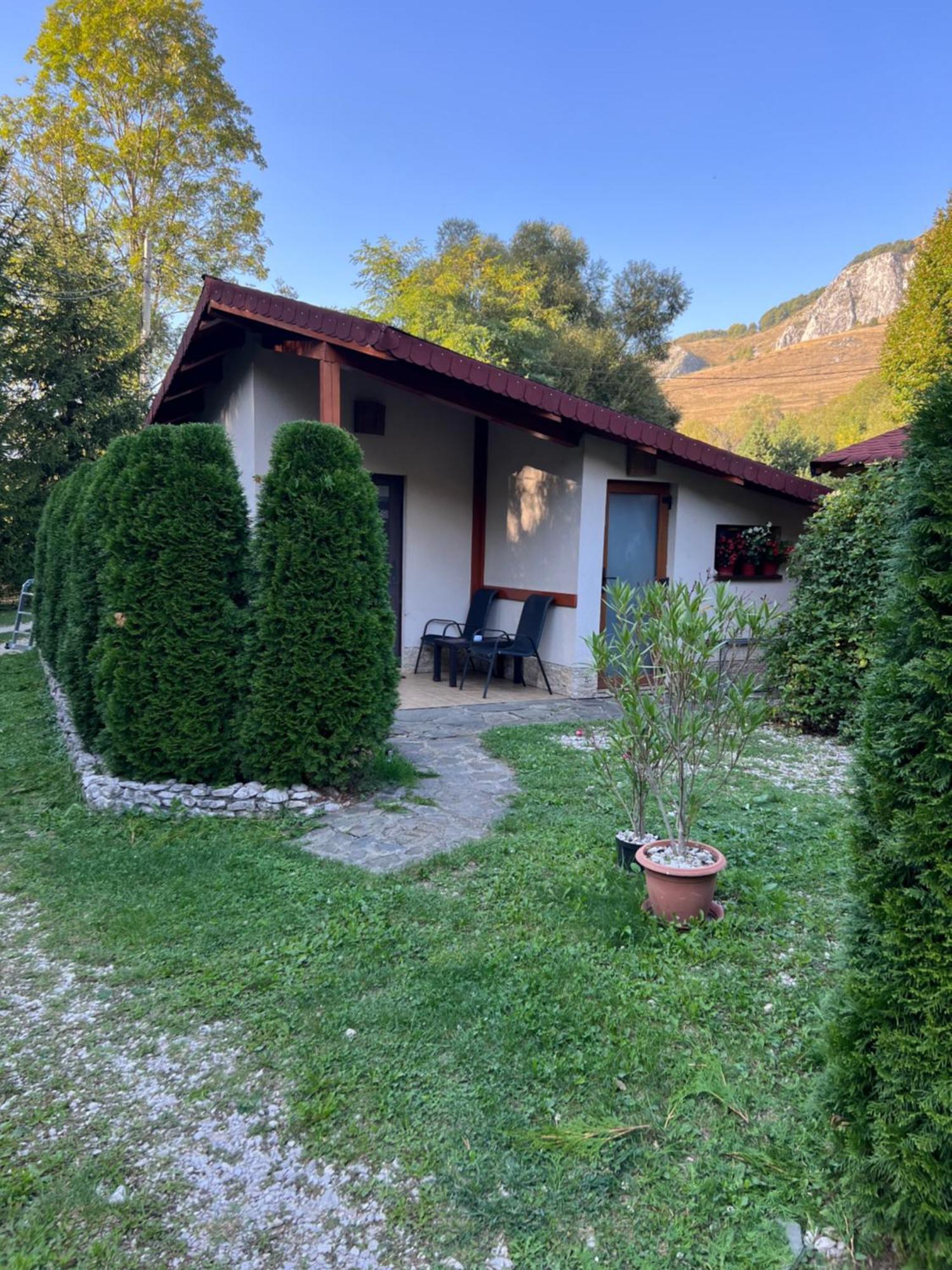 Studiouri Valisoara Luaran gambar