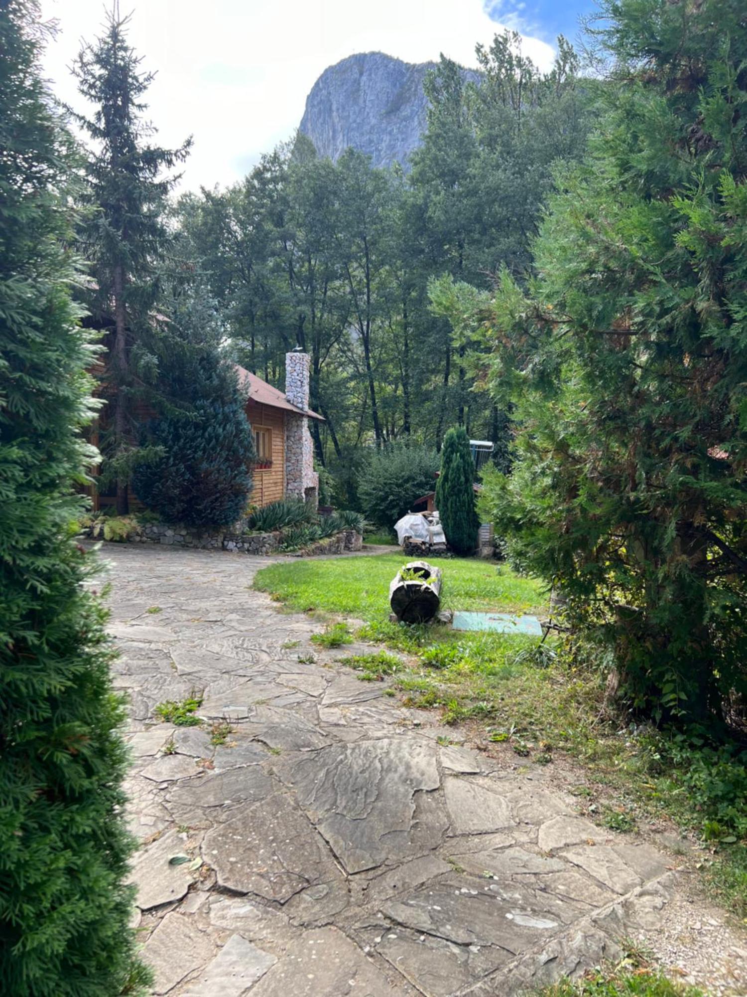 Studiouri Valisoara Luaran gambar