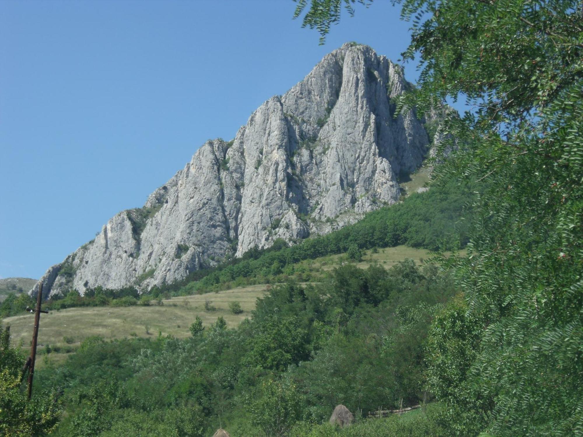 Studiouri Valisoara Luaran gambar