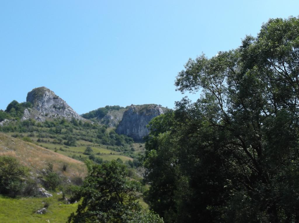 Studiouri Valisoara Bilik gambar