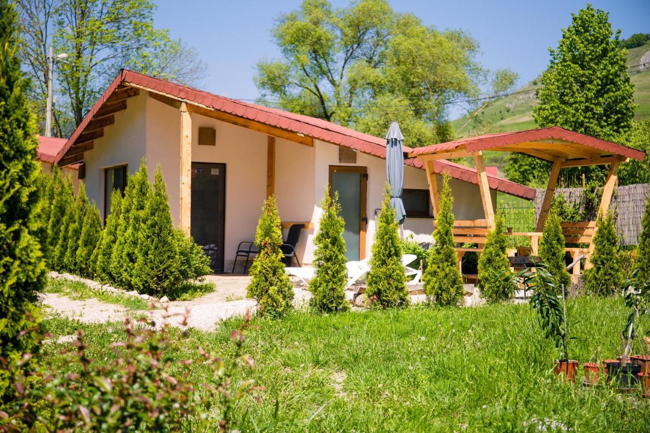 Studiouri Valisoara Luaran gambar