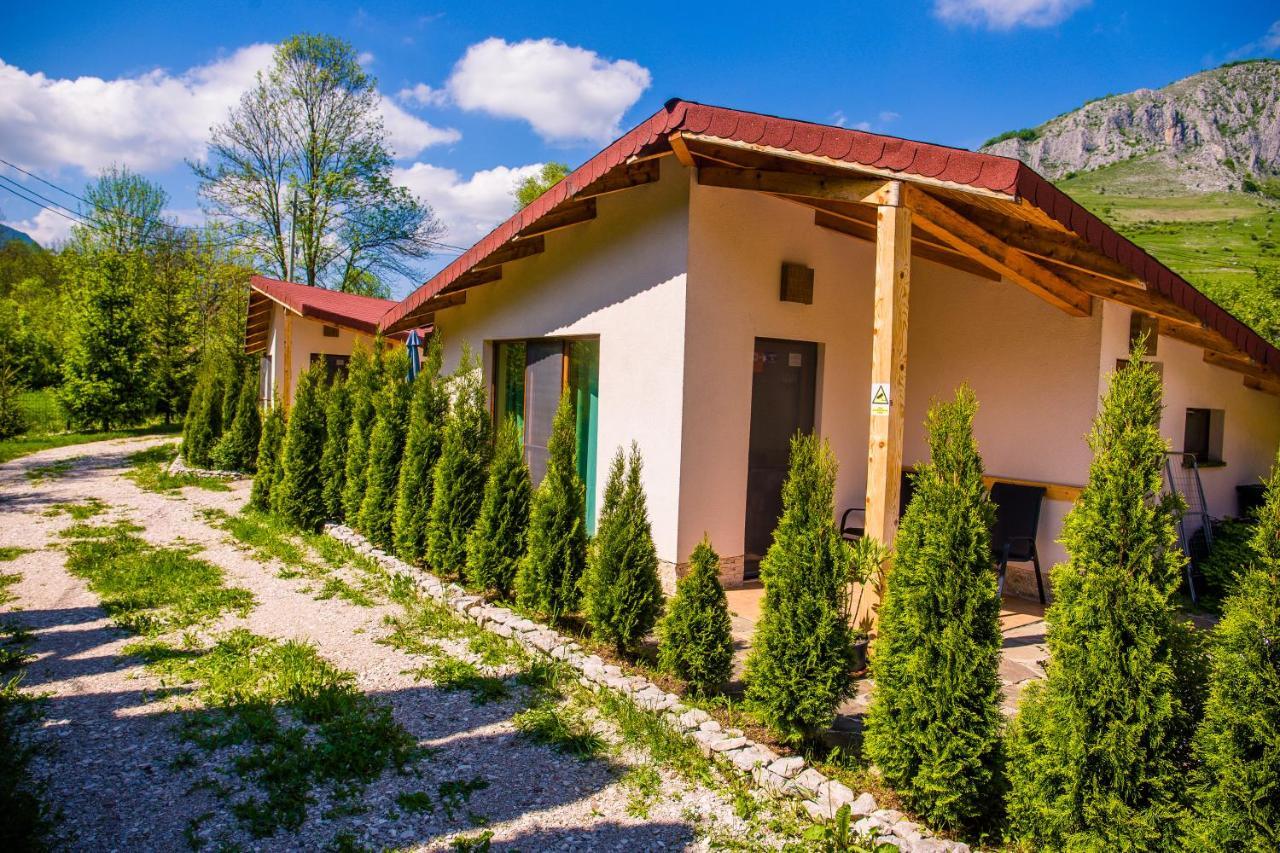 Studiouri Valisoara Luaran gambar